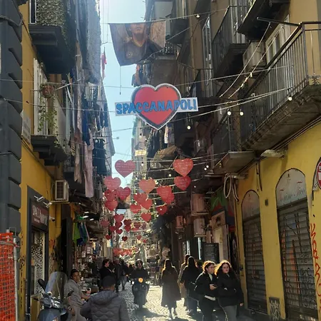 Nanninella Nápoles